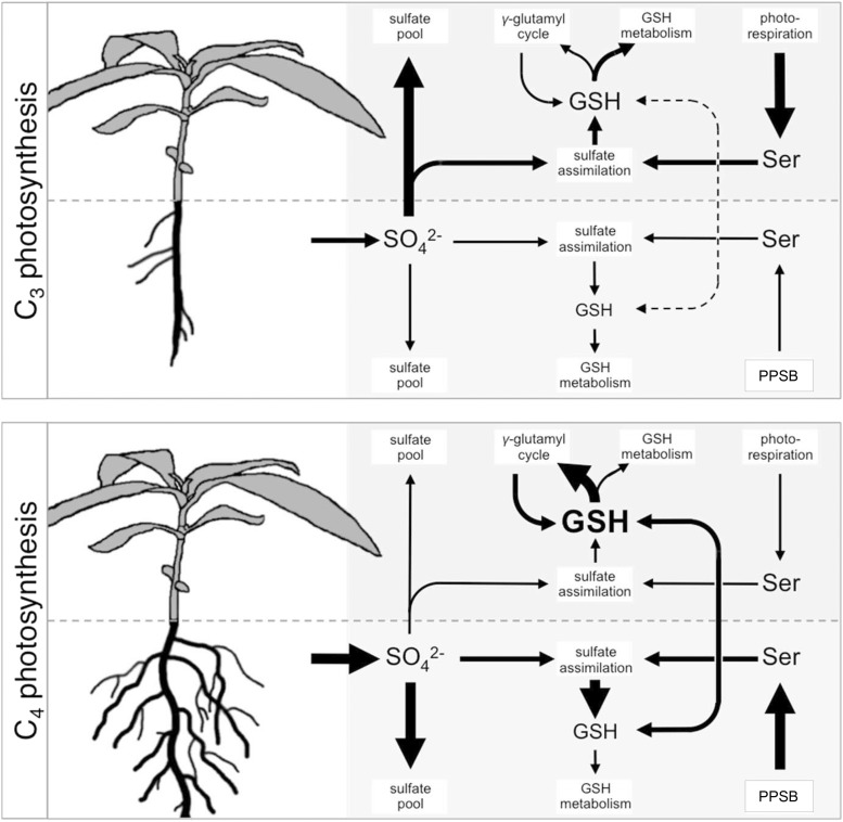 Figure 9.