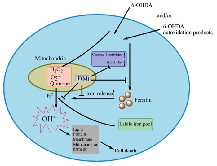 FIGURE 1