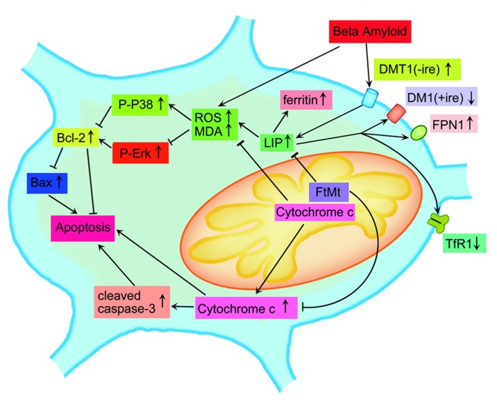 FIGURE 2