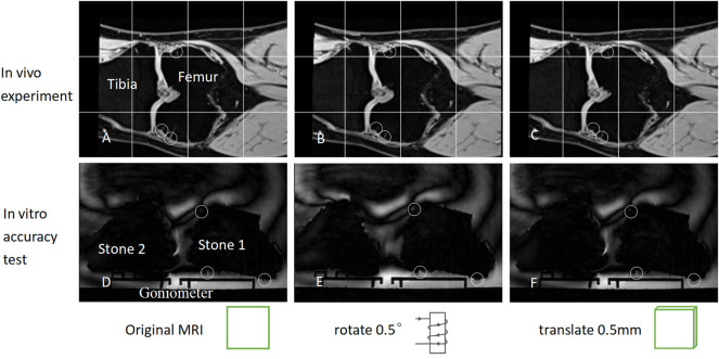 FIGURE 3