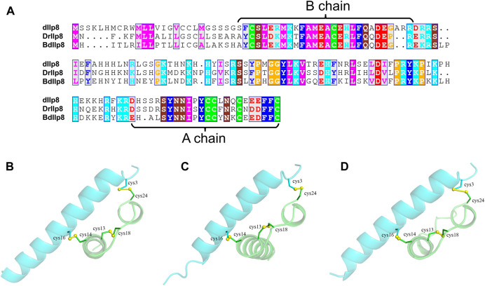 FIGURE 2