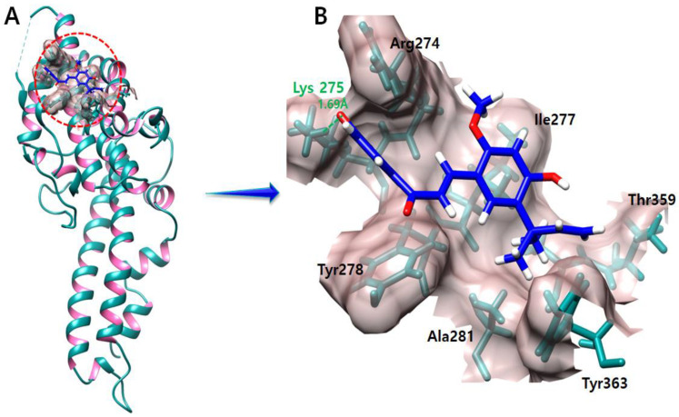 Figure 7