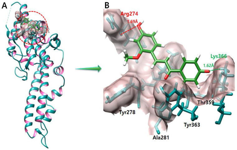 Figure 6