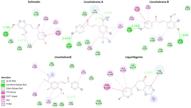 Figure 11