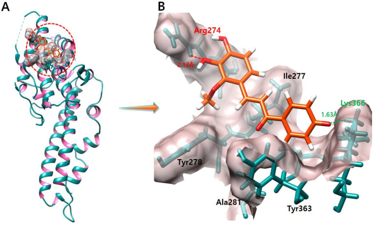 Figure 5