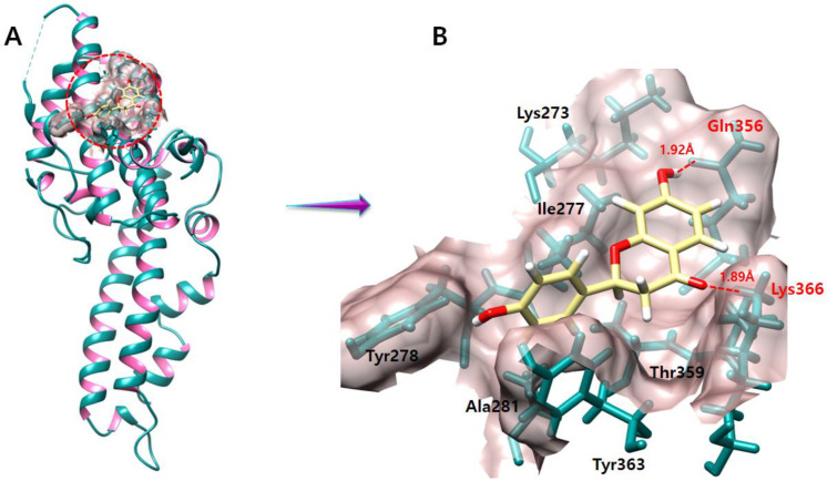 Figure 9