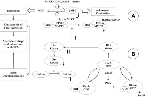 Figure 12.