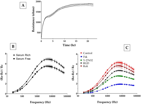 Figure 11.