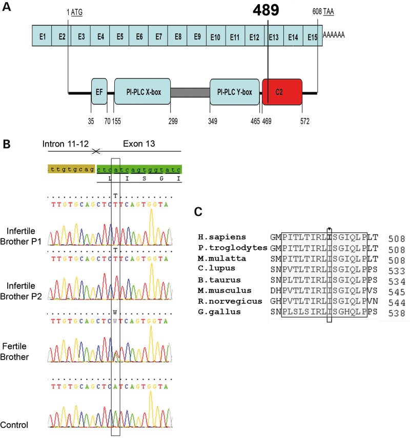 Figure 3.