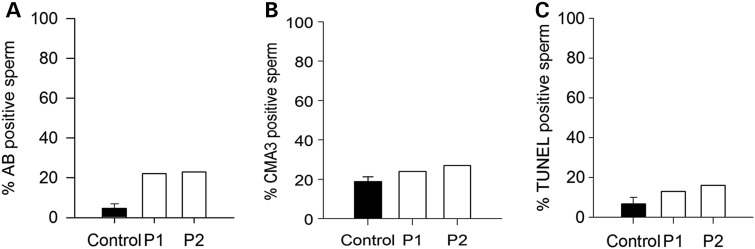 Figure 2.