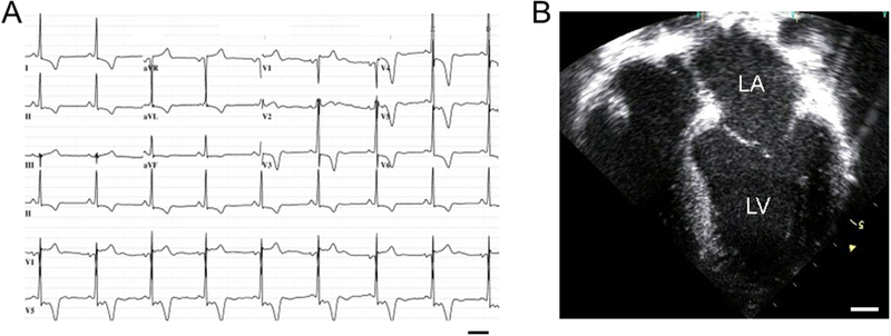 Figure 2 –