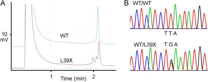 Figure 1 –