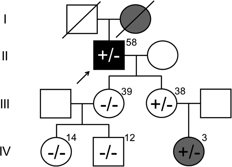 Figure 3 –