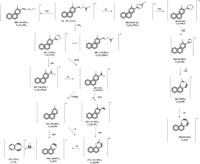 Figure 8