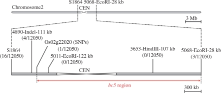 Fig. 8