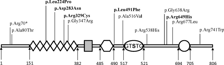 Fig 4