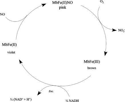 Figure 13