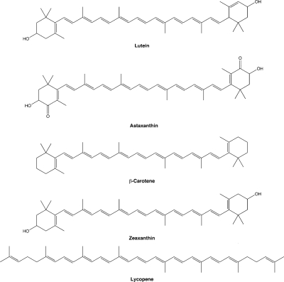 Figure 15