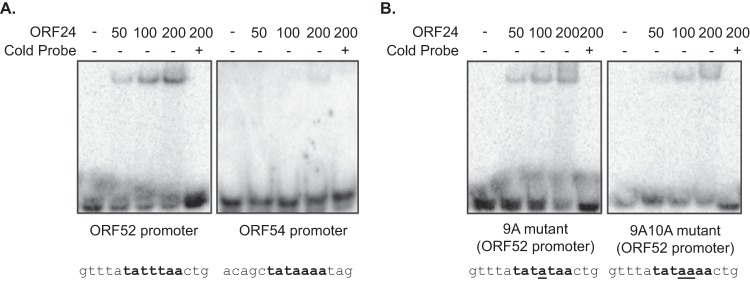 FIG 8