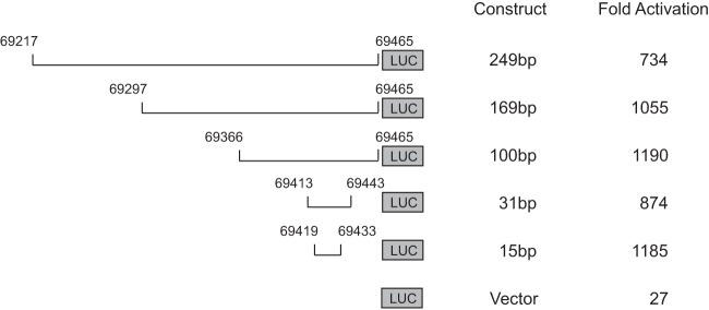 FIG 6