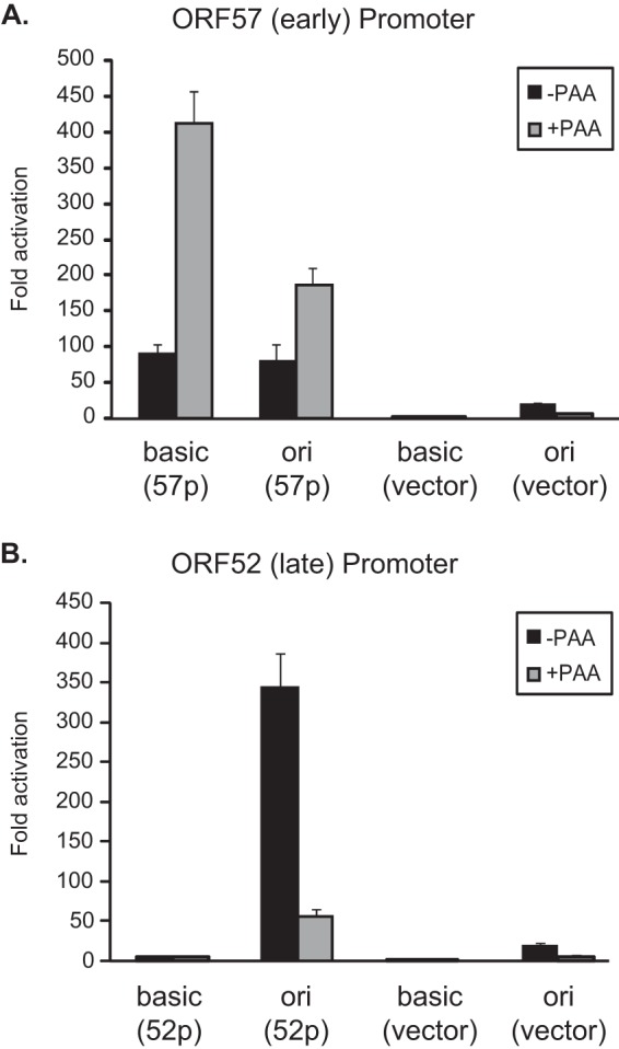 FIG 1