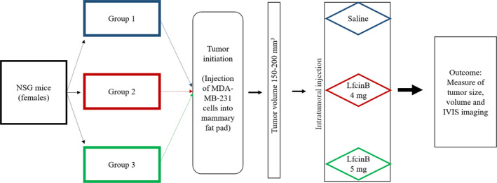 FIGURE 1