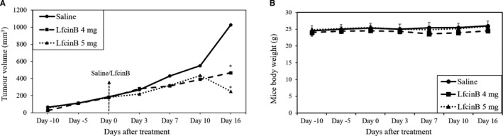 FIGURE 4