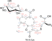 Figure 1—figure supplement 4.