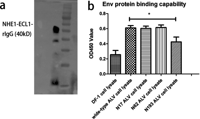 FIG 6