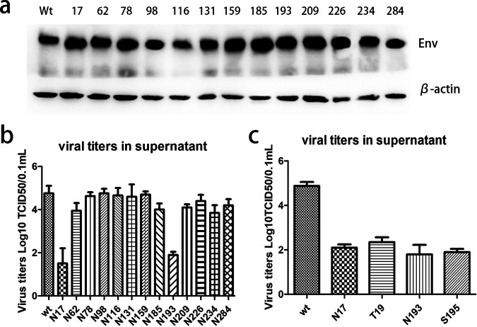 FIG 3