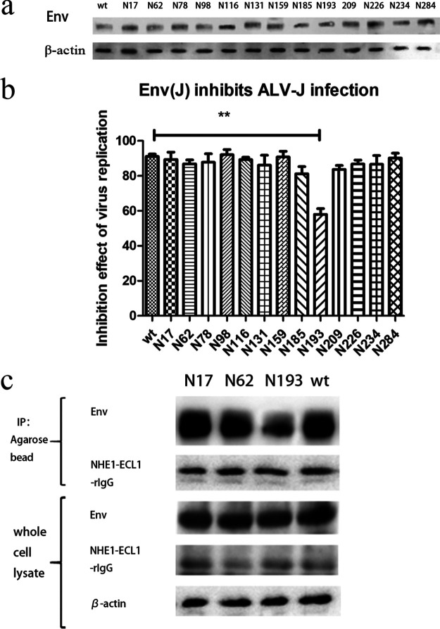 FIG 5