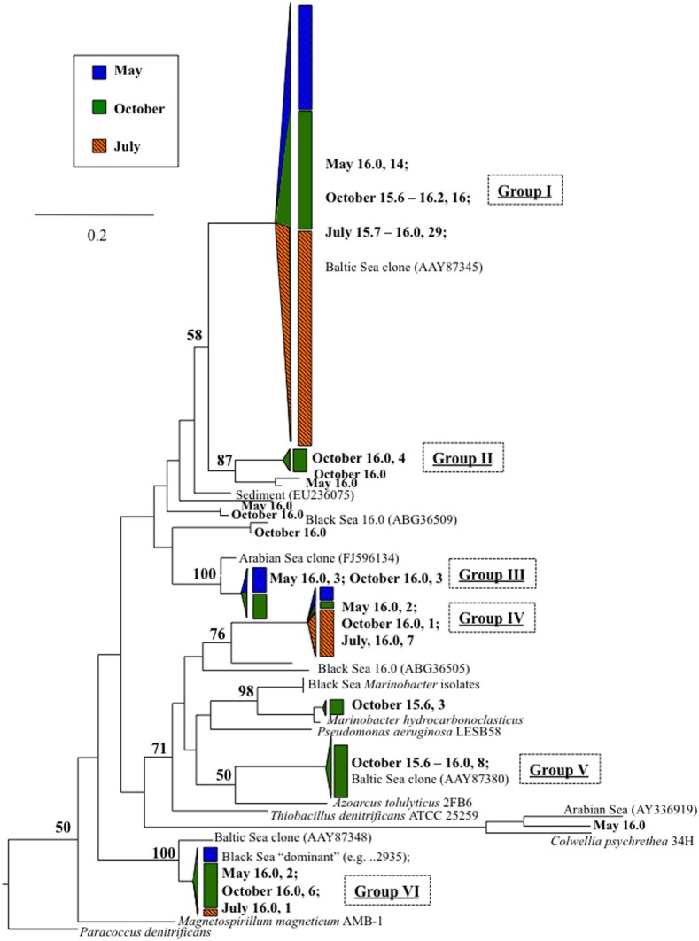 Figure 6