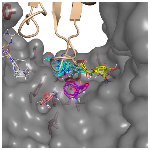 Figure 4