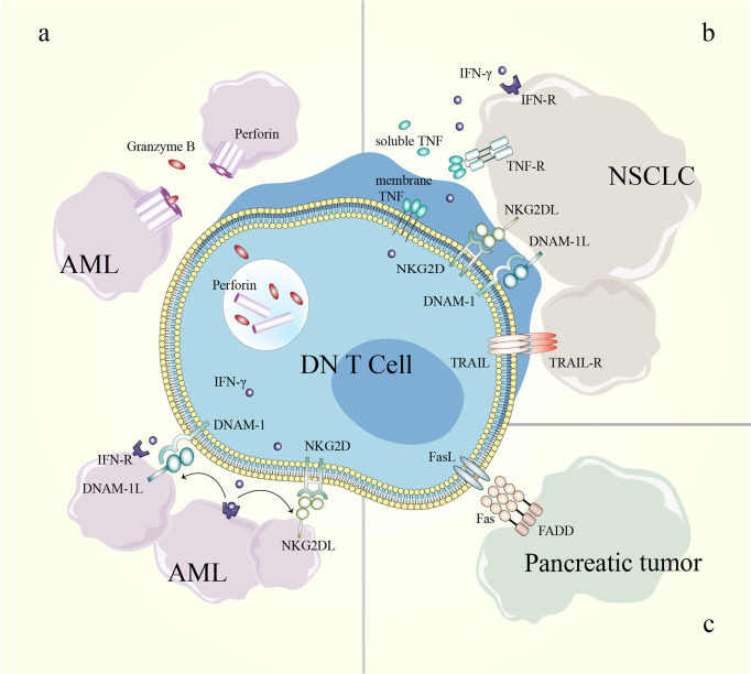 Figure 4