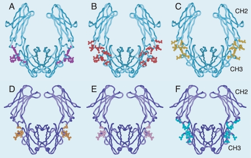 FIGURE 9.