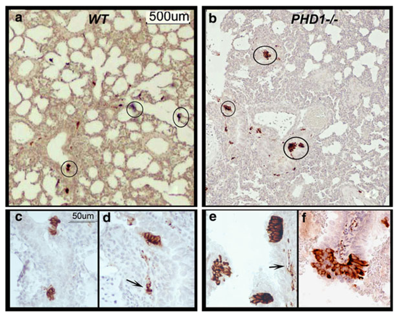 Fig. 21.1