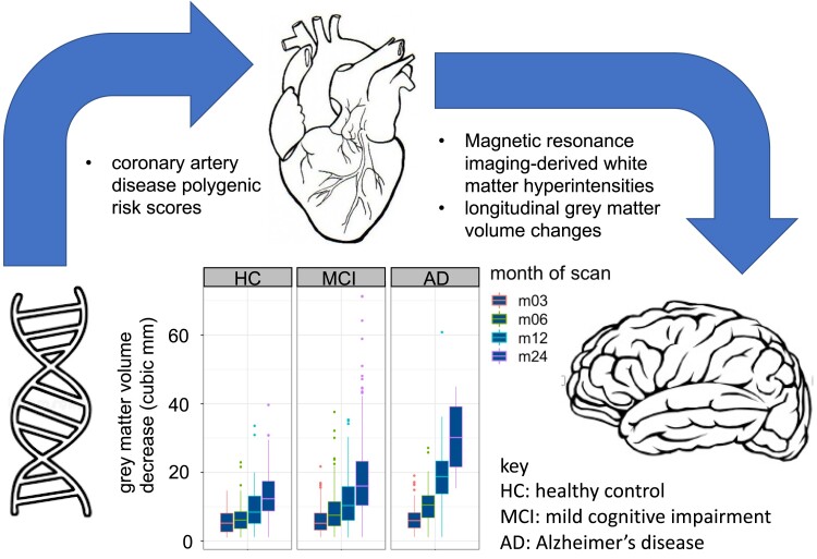 Graphical abstract