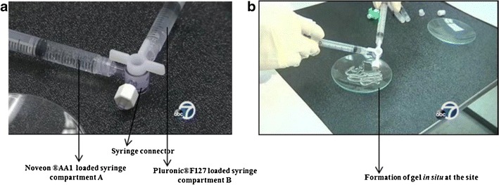 Fig. 2