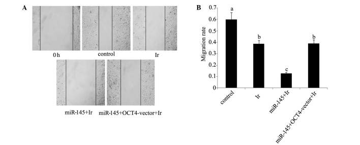 Figure 5.