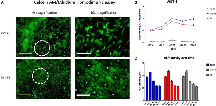 Figure 6