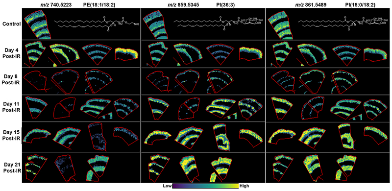 Figure 3.