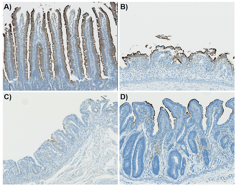 Figure 6.