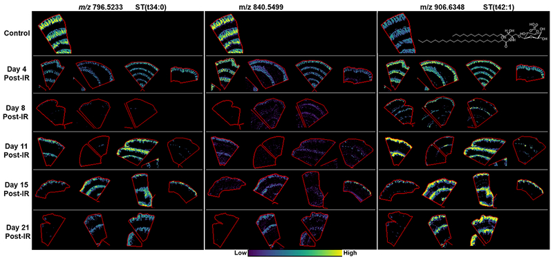 Figure 5.