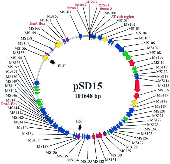 FIG. 1