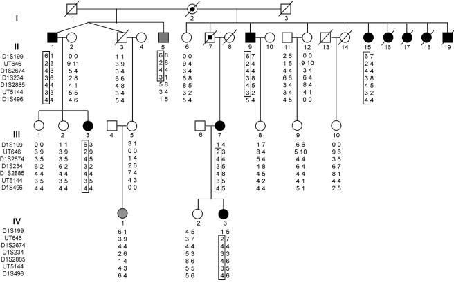 Figure  1