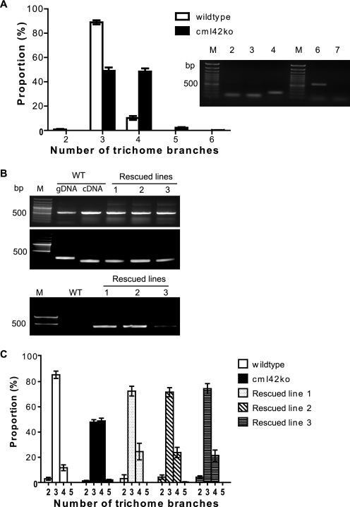 FIGURE 10.