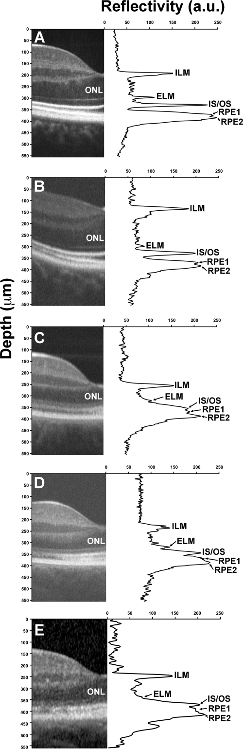 Figure 7.