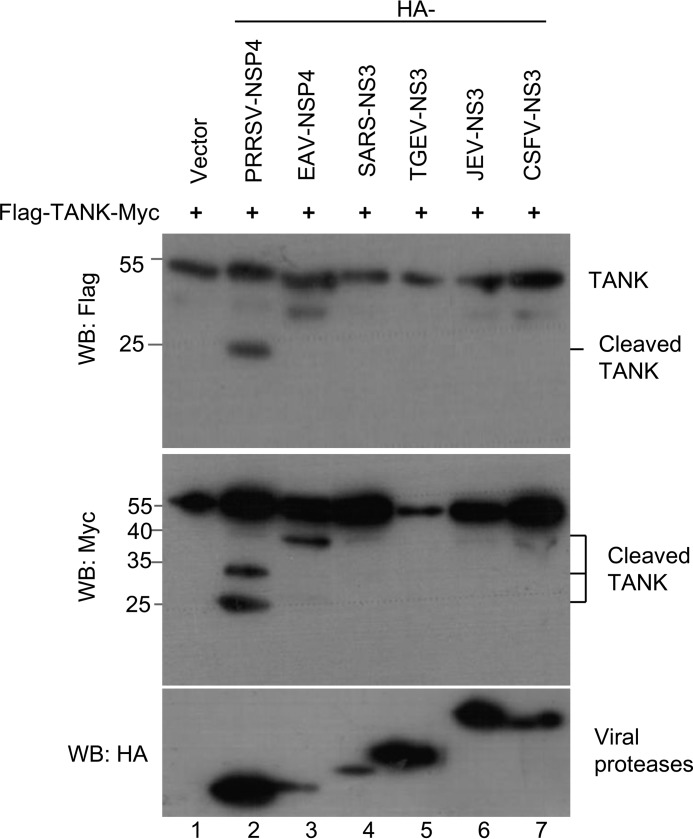 FIGURE 10.