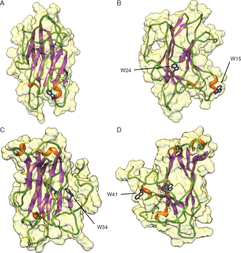 Fig. 6.