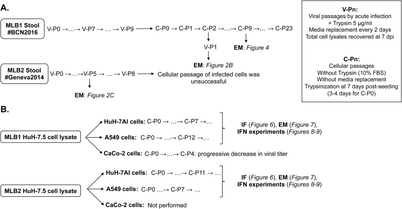 FIG 1